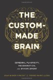 The Custom-Made Brain